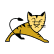 tech_tomcat